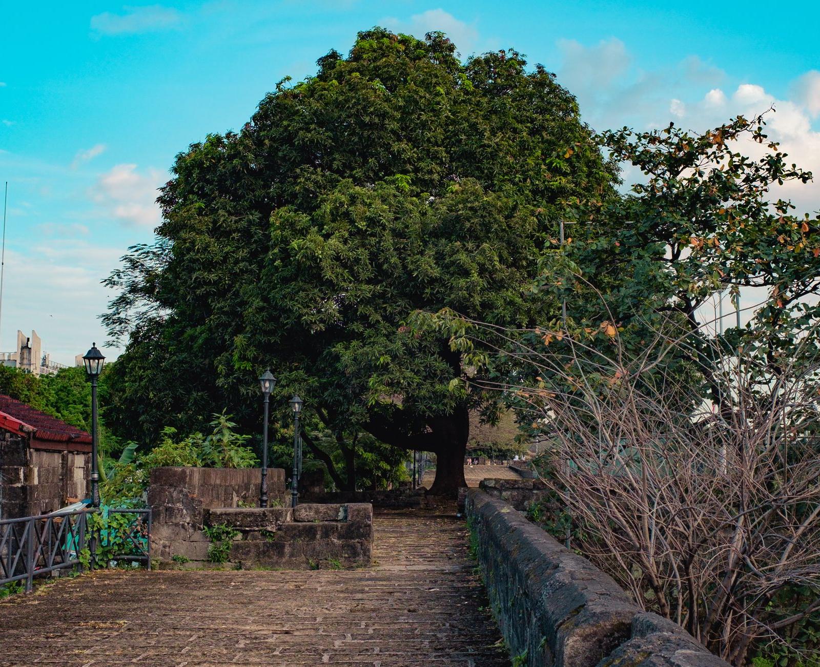 Historical Walkway in Intramuros Manila