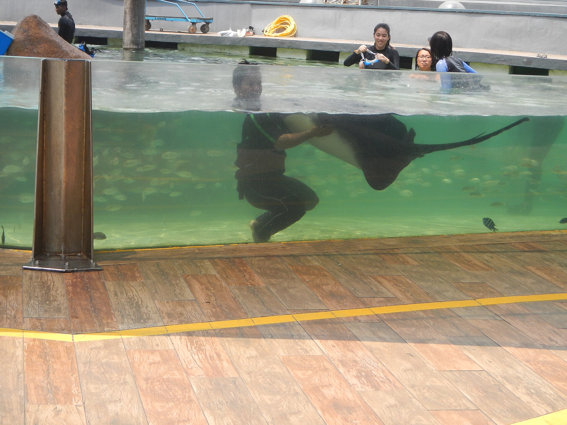 Manila Ocean Park: An Oceanarium by the Bay